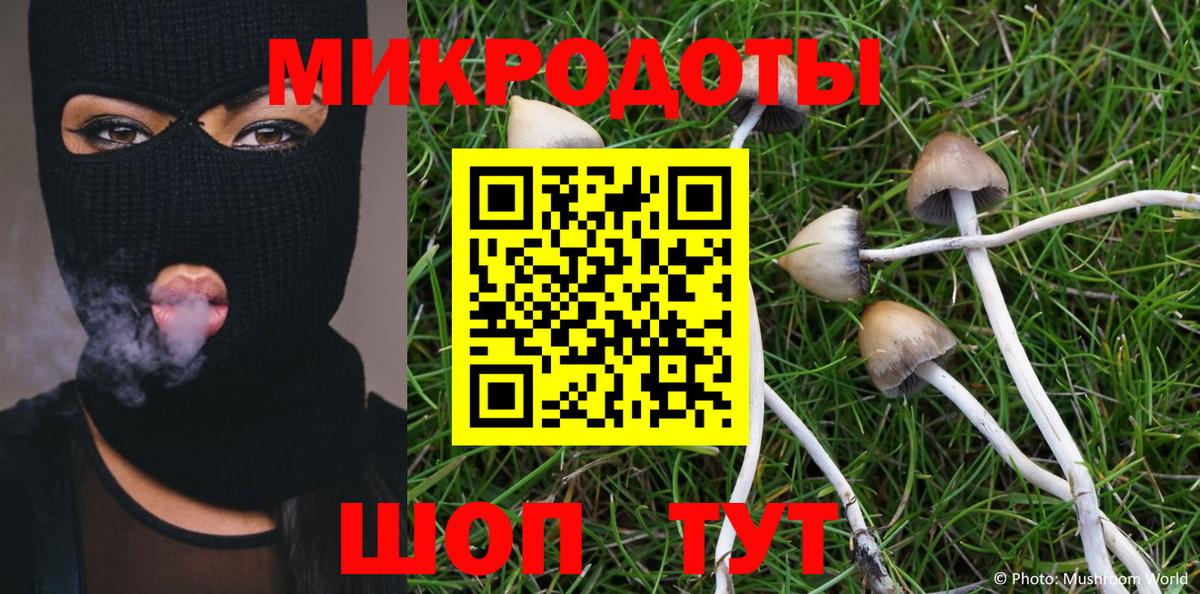 Галлюциногенные грибы Psilocybe Кумертау