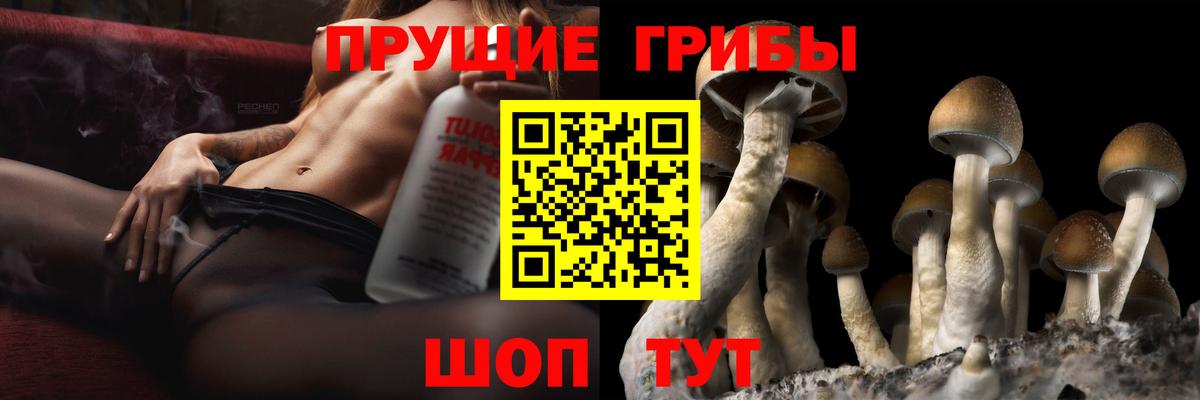 Кумертау  ГАШ  Вход с VPN  Меф МЯУ МЯУ кристаллы  MDMA  МАРИХУАНА  Cocaine 